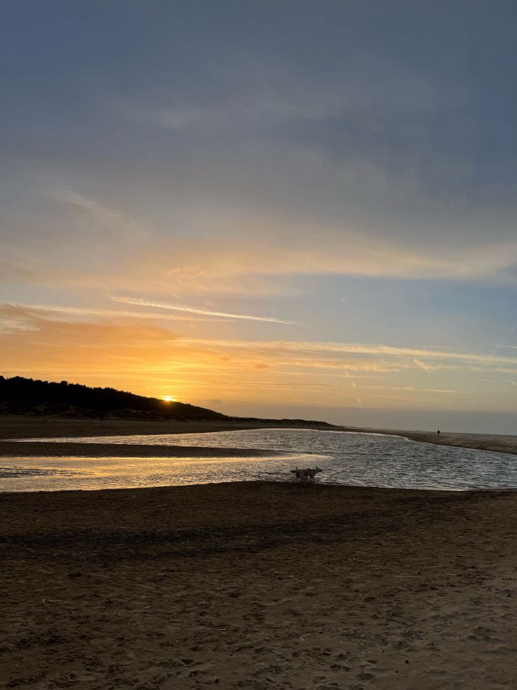 The sun setting behind a hill next to the beach. A dog is playing in a large pool on the sand.