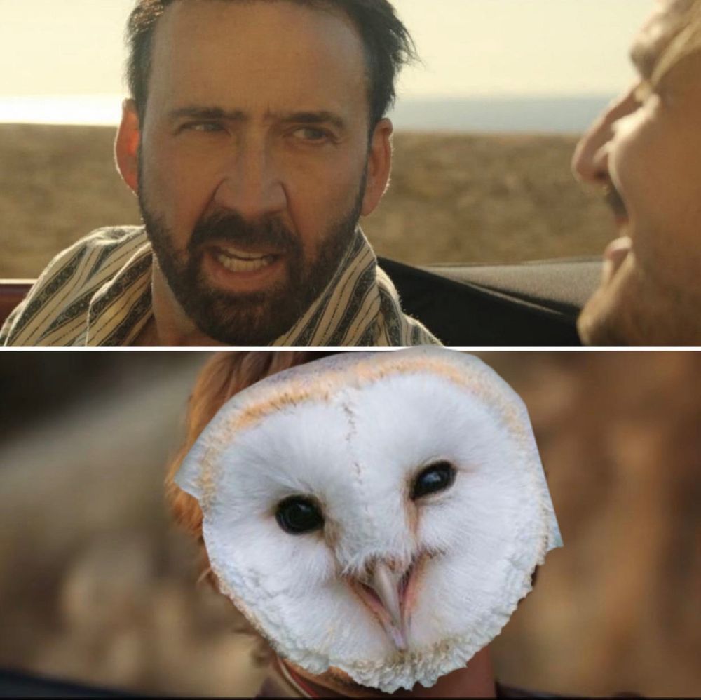 nicolas cage looking at pedro pasc-owl