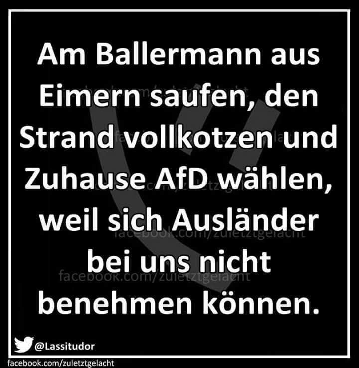 Am ballermann aus eimern saufen, den strand vollkotzen und zuhause afd wählen, weil sich ausländer bei uns nicht benehmen können.