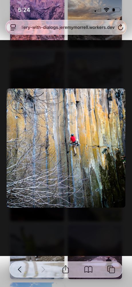 Screenshot of my photos demo. The selected image has black background covering up the gallery, except the black overlay doesn’t extend below the transparent url bar and navigation bar meaning the raw page shows behind them.