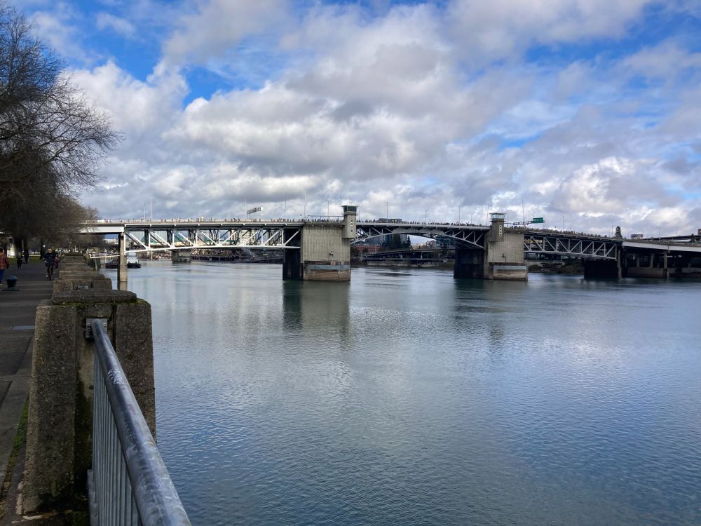 resistance supporters in portland crossing the Morrison Bridge