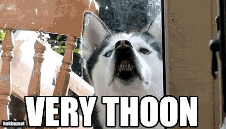 A husky pressing it's snoot against a patio door causing it's front teeth to be exposed. Caption says "Very Thoon"