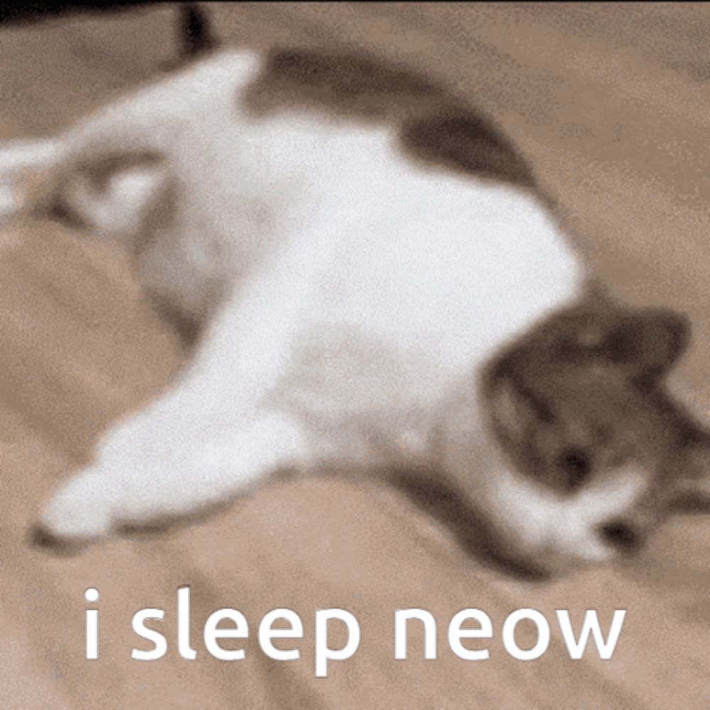 a cat laying on its back with the words " i sleep neow " below it