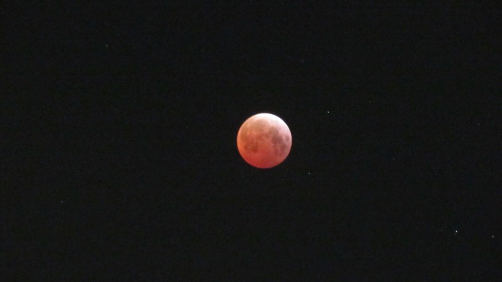 The Blood Worm Moon as seen from Sunny Isles Beach, Florida.