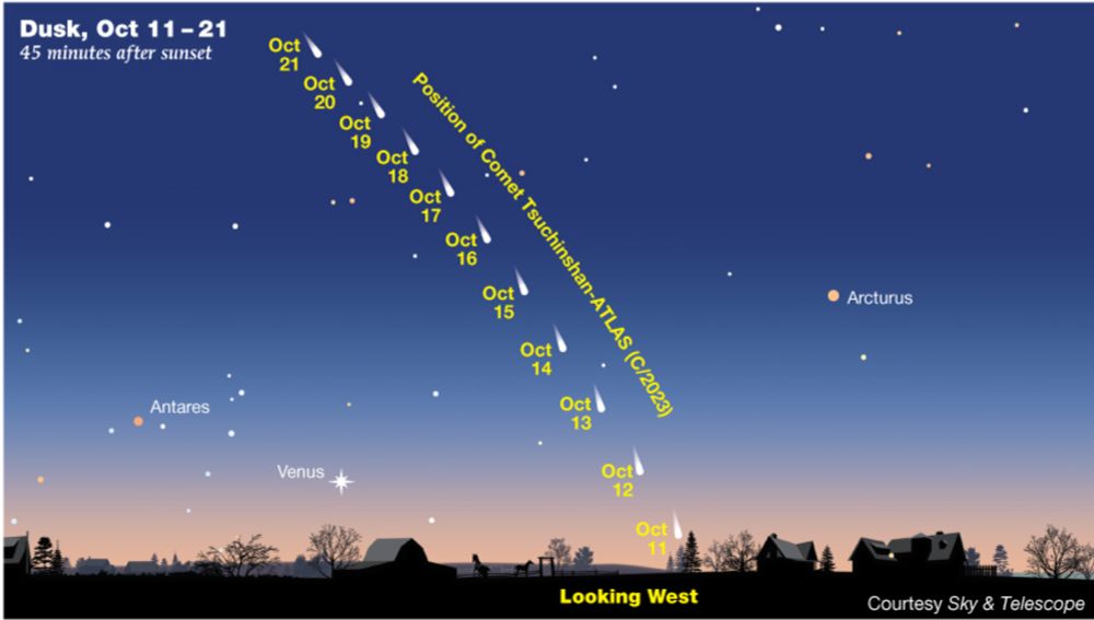 Bright Comet Tsuchinshan-ATLAS Climbs into Evening View