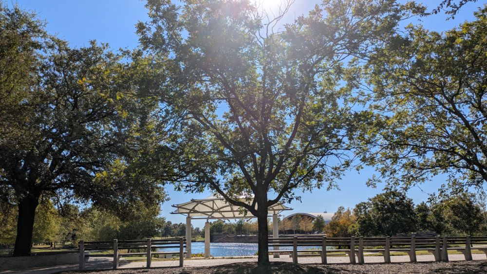 Mueller lake surrounded by trees and benches 