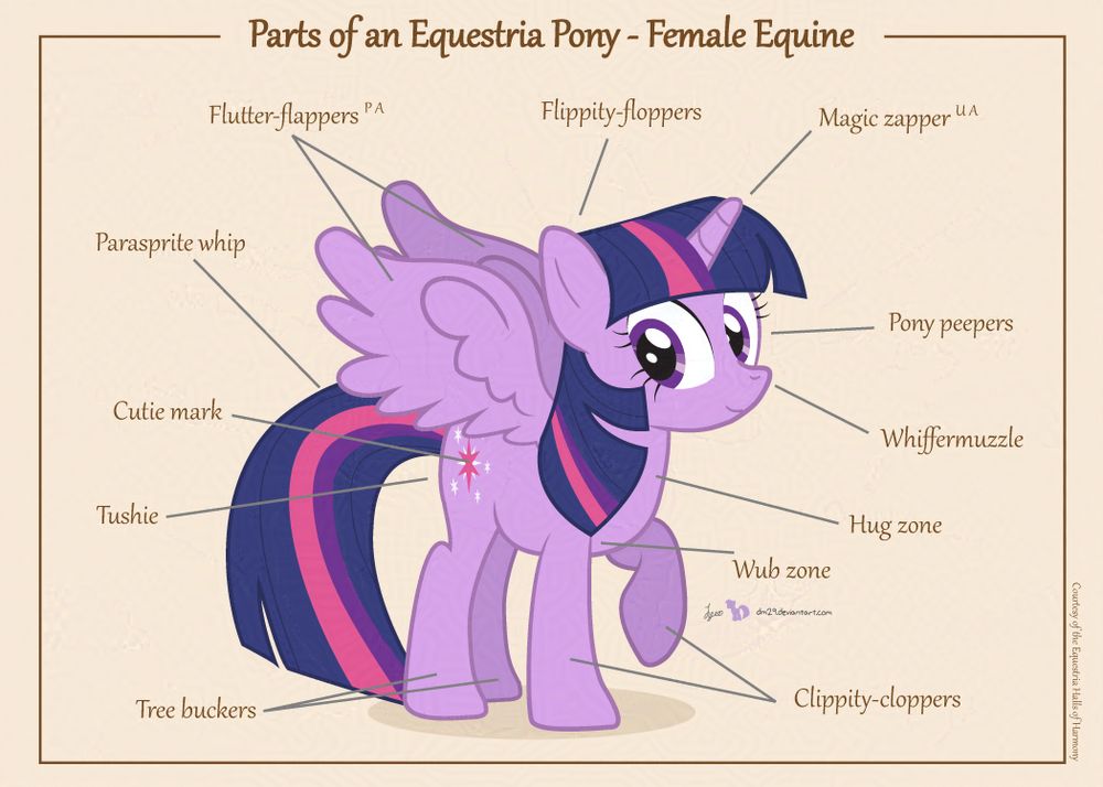 A diagram of the parts of an Equestrian Pony, Twilight as the subject, labels pointing out parts of her body in a cute and silly way.