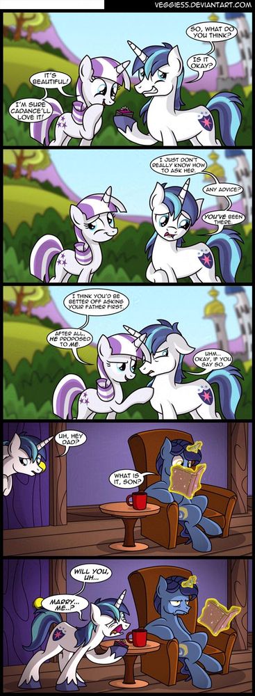 Shining Armor shows his mother the engagement ring he got for Cadance but voices his concern to her how he doesn't know quite how to ask her. Twilight Velvet suggests that Shining go ask his father. Shining takes this advice the wrong way and as he approaches his father in his study, getting his attention, he asks his dad to marry him. Nightlight puts down his newspaper, a look of great disappointment on his face.