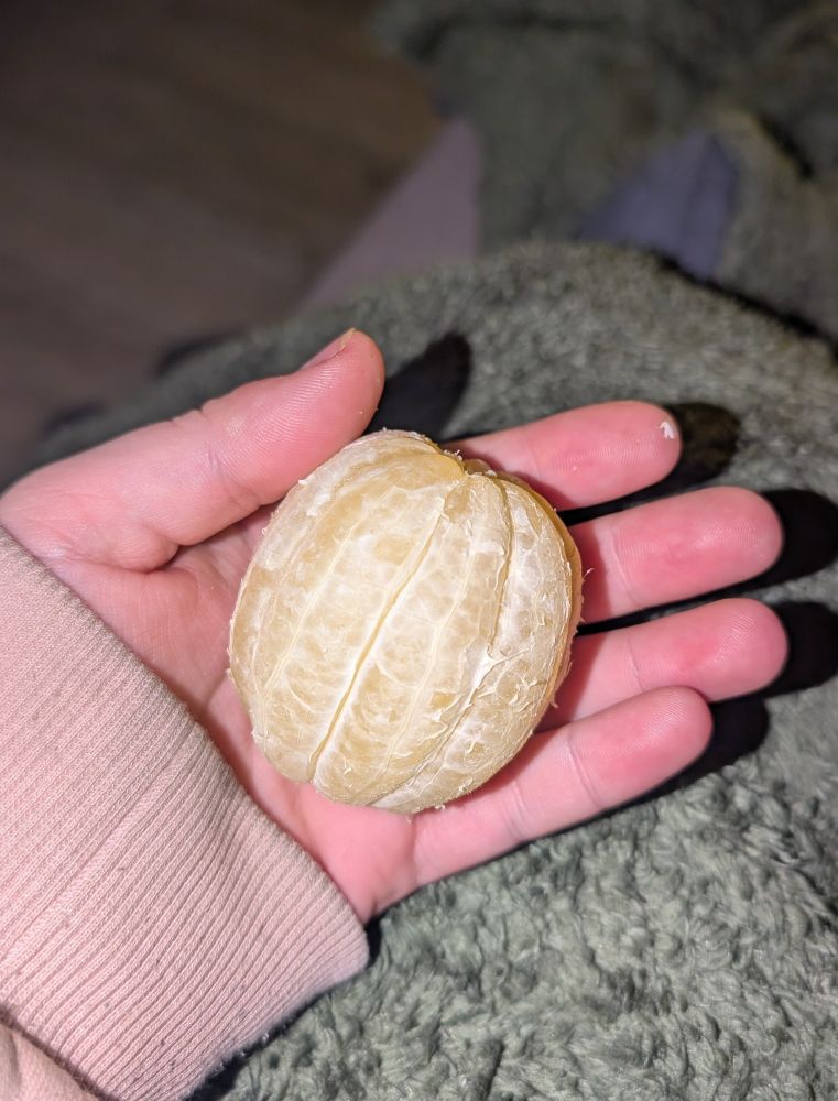 un citron entier épluché comme une orange, dans ma main, vu de côté 