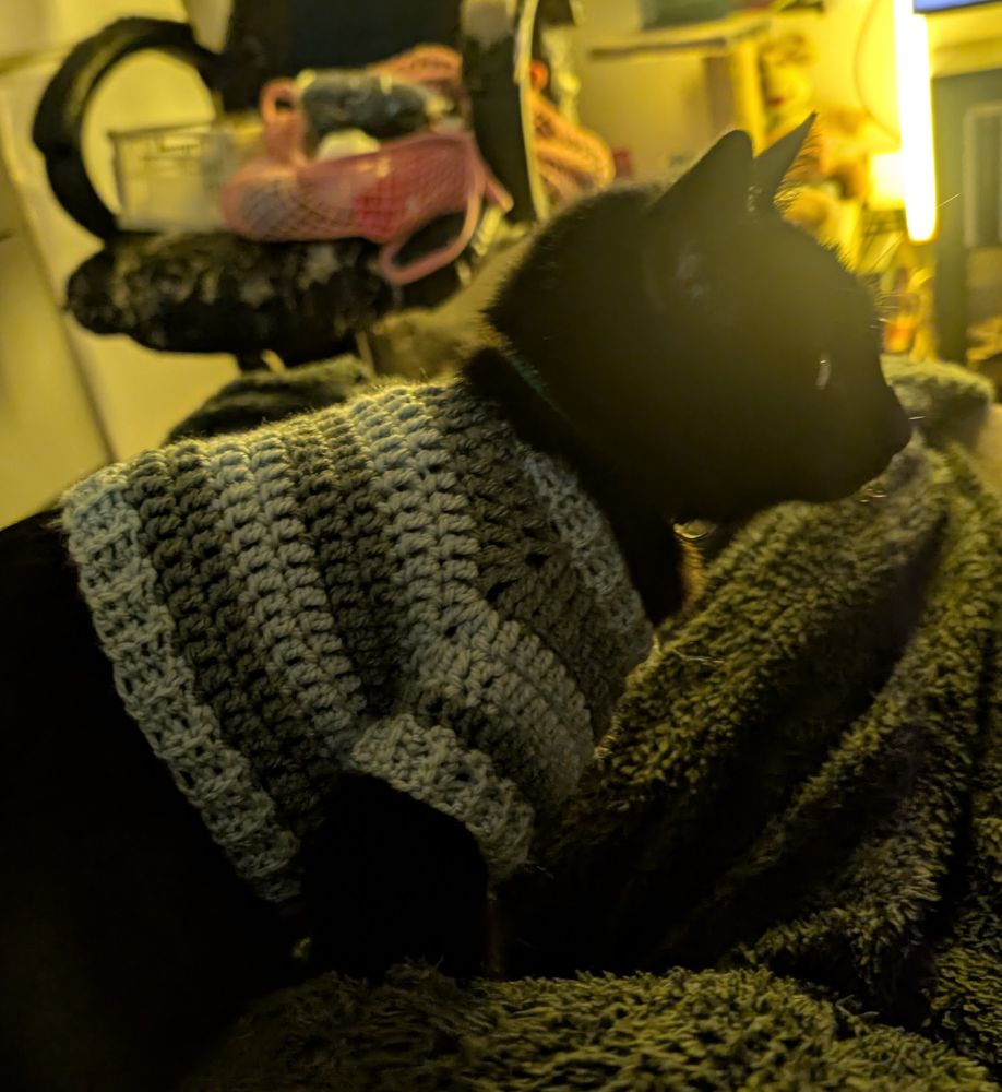 tika (mon chat noir) portant un pull en crochet que j'ai fait (rayures bleues claires et vertes foncées) 