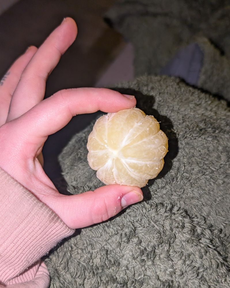 le même citron entier épluché mais vu du dessous