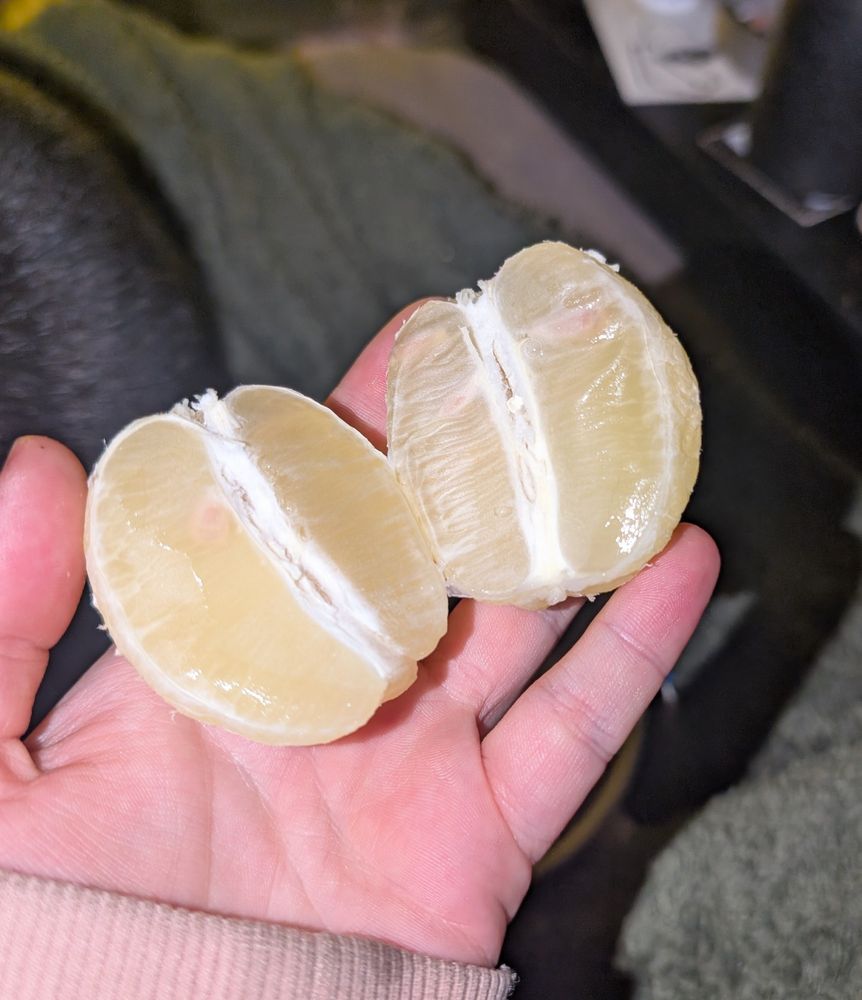 toujours le même citron épluché mais ouvert en deux (comme pour ouvrir une orange)