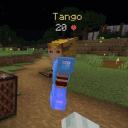 a screenshot of a video game with the name tango 20 on it