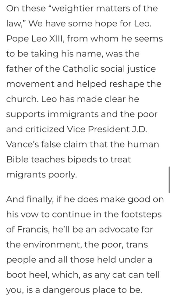 On these “weightier matters of the law,” We have some hope for Leo. Pope Leo XIII, from whom he seems to be taking his name, was the father of the Catholic social justice movement and helped reshape the church. Leo has made clear he supports immigrants and the poor and criticized Vice President J.D. Vance’s false claim that the human Bible teaches bipeds to treat migrants poorly.

And finally, if he does make good on his vow to continue in the footsteps of Francis, he’ll be an advocate for the environment, the poor, trans people and all those held under a boot heel, which, as any cat can tell you, is a dangerous place to be.
