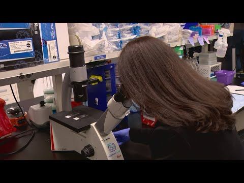 Potential NIH funding cuts could affect local cancer research