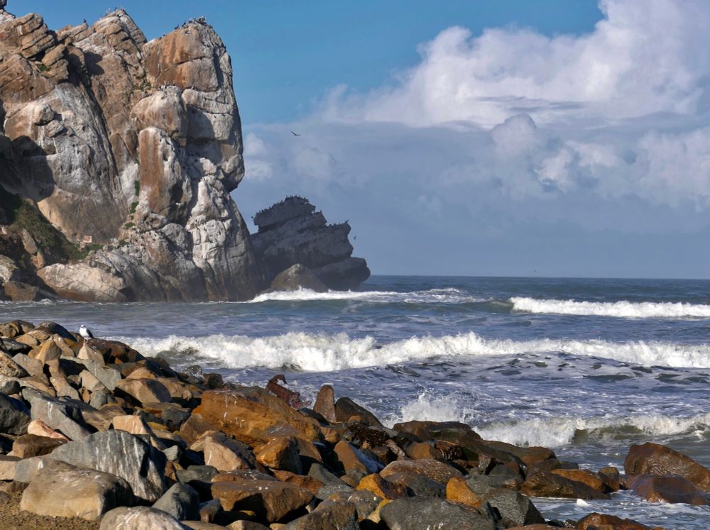 Morro Rock and coastal Morro Bay CA