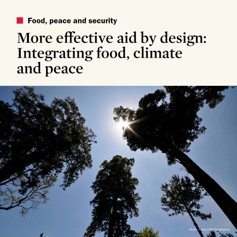 More effective aid by design: Integrating food, climate and peace