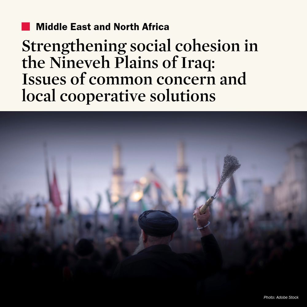 Strengthening social cohesion in the Nineveh Plains in Iraq: Issues of common concern and local cooperative solutions