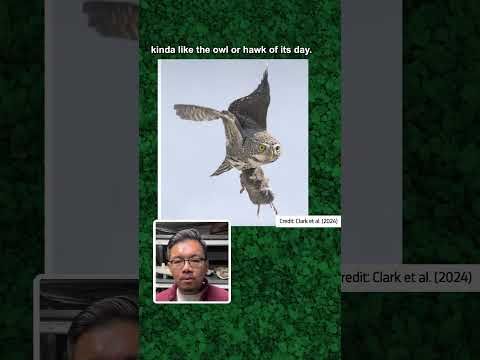 These are the newest oldest birds of prey