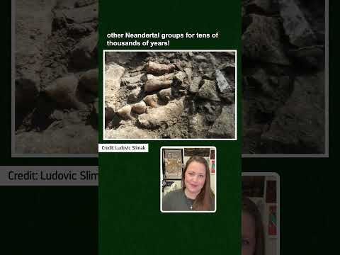 Neandertals: the ultimate ancient introverts?