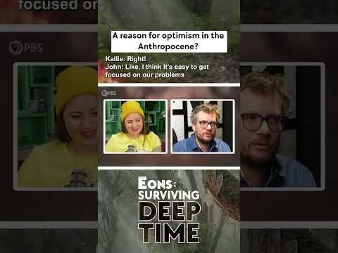 A reason for optimism in the Anthropocene? (with John Green)