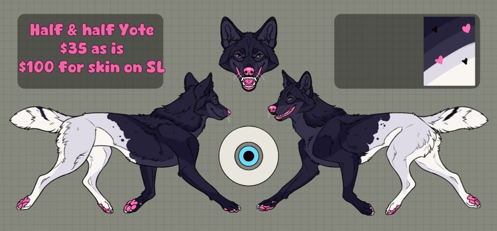 A reference for a coyote character, the lower half is white in color while the top half of the character is dark purple/grey. the yote has bubblegum pink flesh