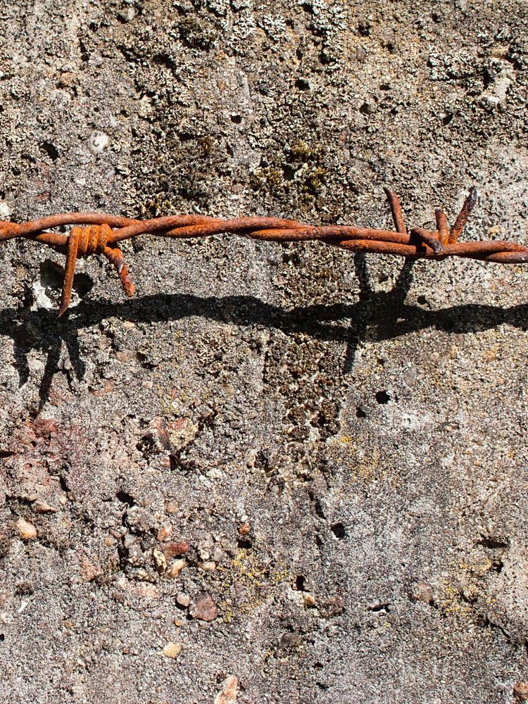 Rostiger Stacheldraht vor einer Mauer. 