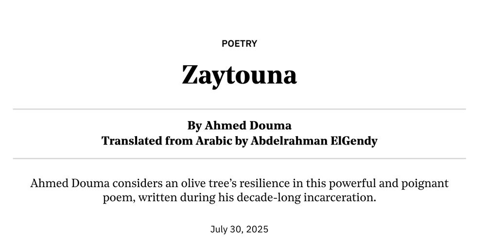 Zaytouna
By Ahmed Douma
Translated from Arabic by Abdelrahman ElGendy
Ahmed Douma considers an olive tree’s resilience in this powerful and poignant poem, written during his decade-long incarceration.