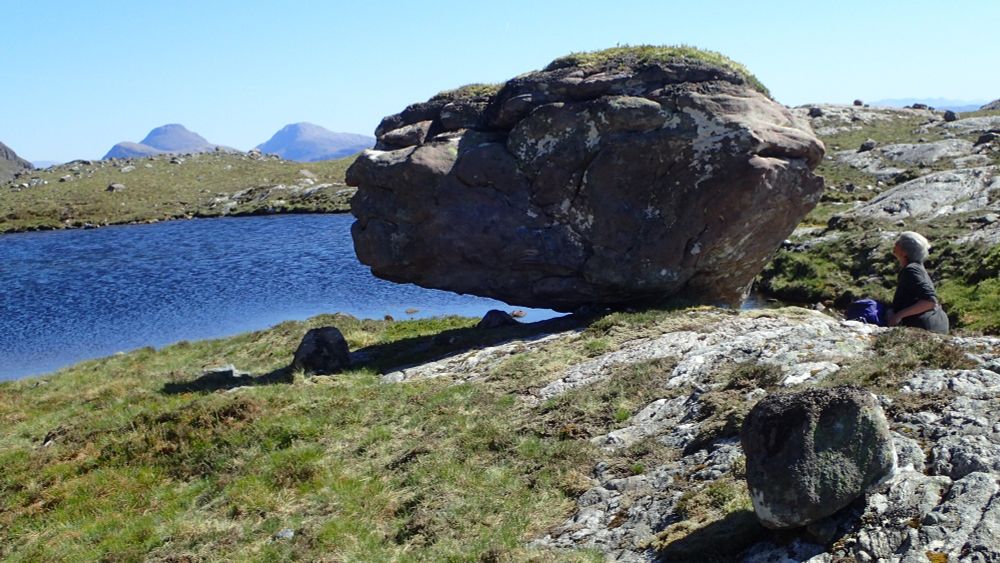 Alectoria nigricans on the top right of this boulder