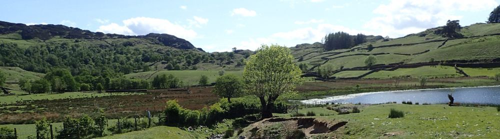View over Watendlath tarn to mixed woods that we visited with many ash pollards around