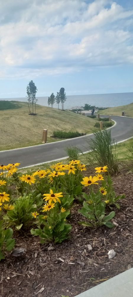 Walkway with flowers going through Kenny Yuko Park toward Lake Erie. Euclid, Ohio.
