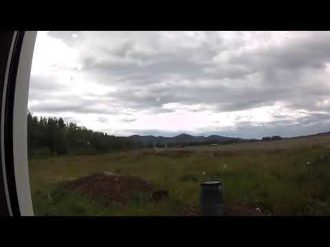 cows clouds and dogs