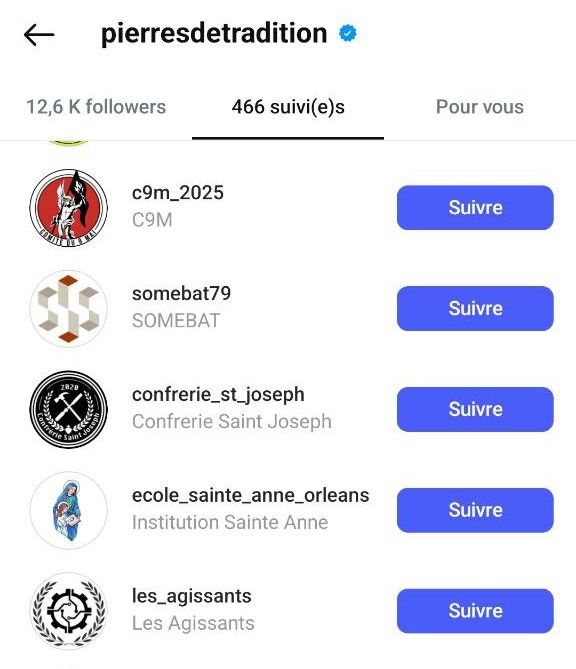 Page instagram de Guillaume Cahen "pierres de tradition" on voit dans ses abonnement la page officielle d'organisation du C9M 2025