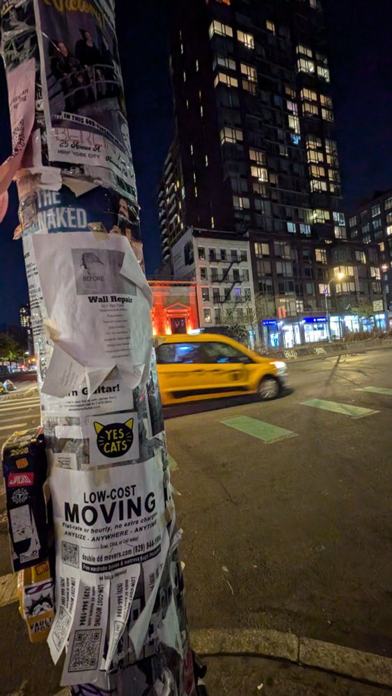a yes Cats sticker on a lamppost, lower East side NYC
