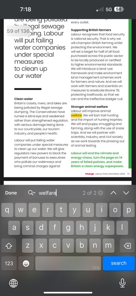 Screenshot showing the two instances of “Welfare” in the Labour 2024 manifesto 