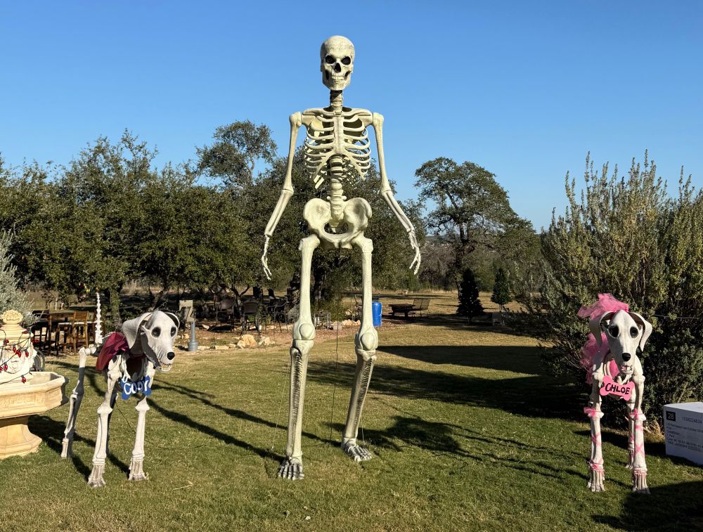 Giant skeleton flanked by two dog skeletons. One with  pink bow one with red. 