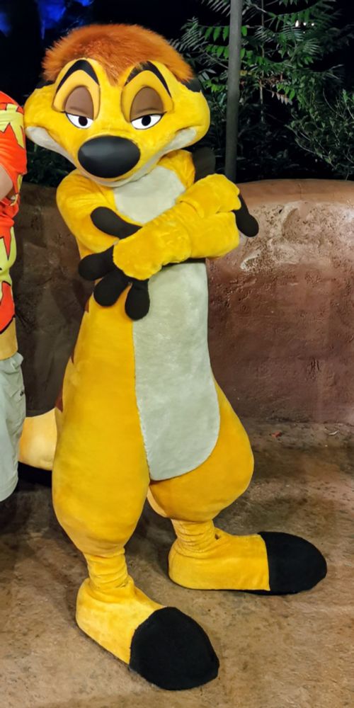 Photo of Timon, the meerkat from The Lion King with his arms crossed