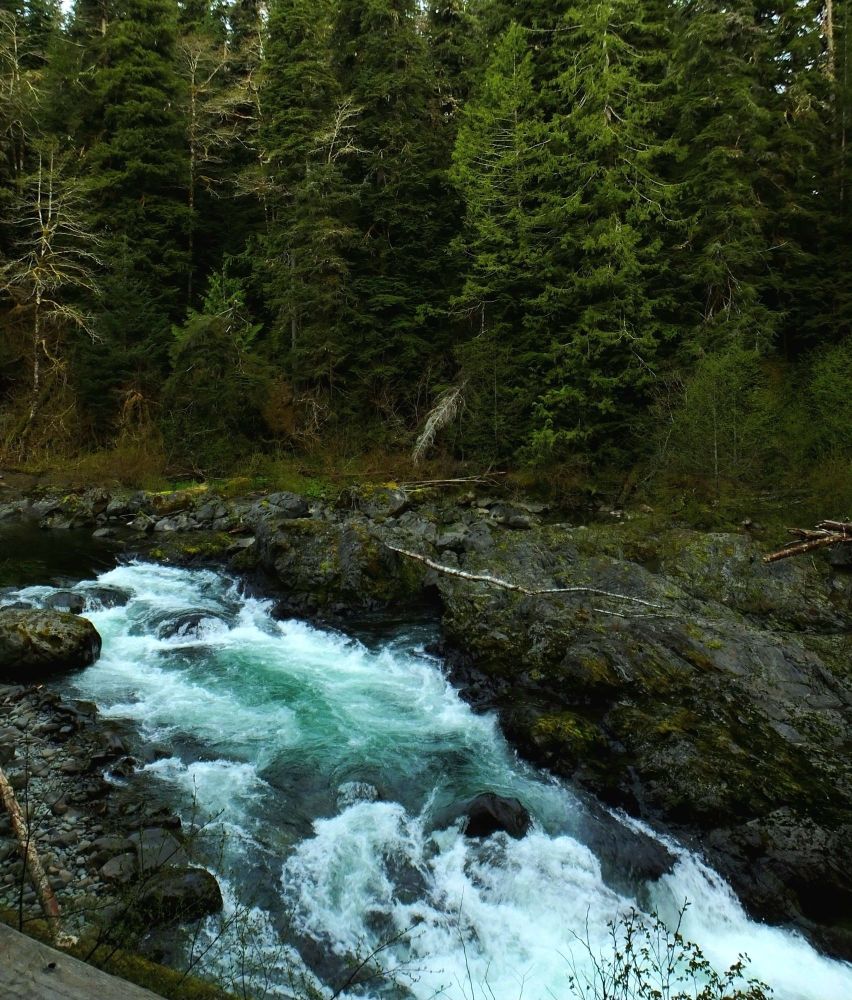 Salmon Cascades along the Sol Duc River in the morning twilight. Olympic National Park, Washington, 19 Apr 2015. #NationalParks