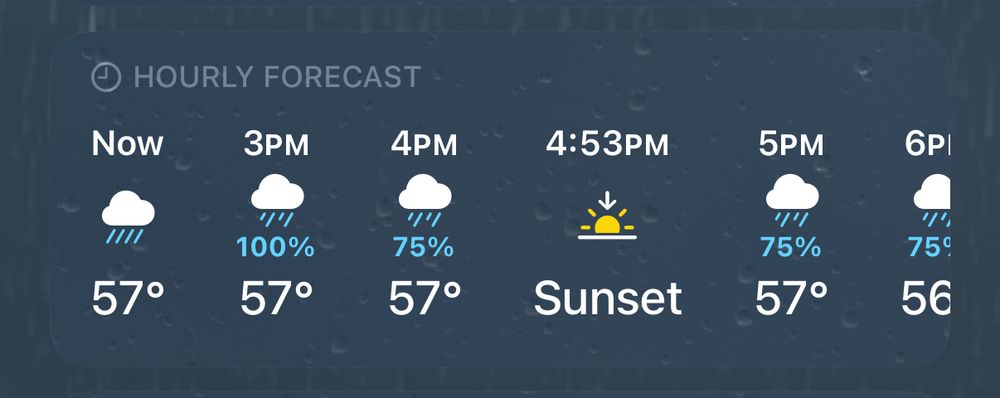 Screenshot of hourly precipitation forecast. There’s a sun icon with a down arrow for 4:53pm. 