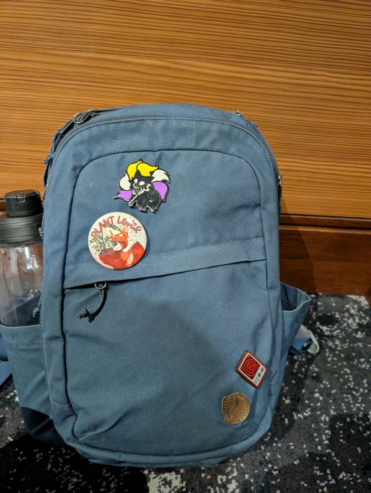picture of backpack with pins and buttons