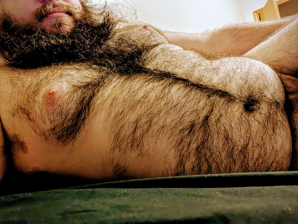 Photo of my torso laying sideways in bed completely naked showing off my hairy body