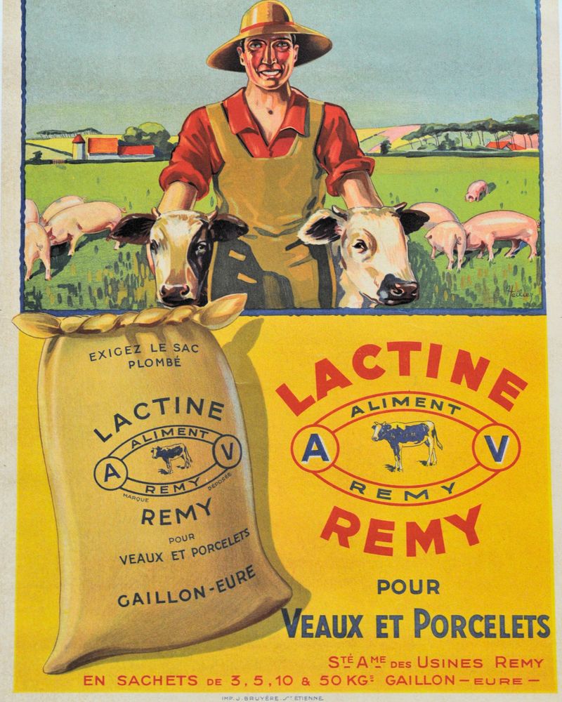 Affiche dessinée en couleurs, format portrait, on voit sur la moitié supérieure un agriculteur portant un chapeau de paille sur la tête, câliner deux veaux à sa droite et à sa gauche dans un champ. Dans l'autre moitié, une représentation d'un sac d'aliment "Lactine, Rémy" prend place. Enfin, on retrouve le logo des productions Rémy et quelques précisions sur les différents formats de sachets de vente.