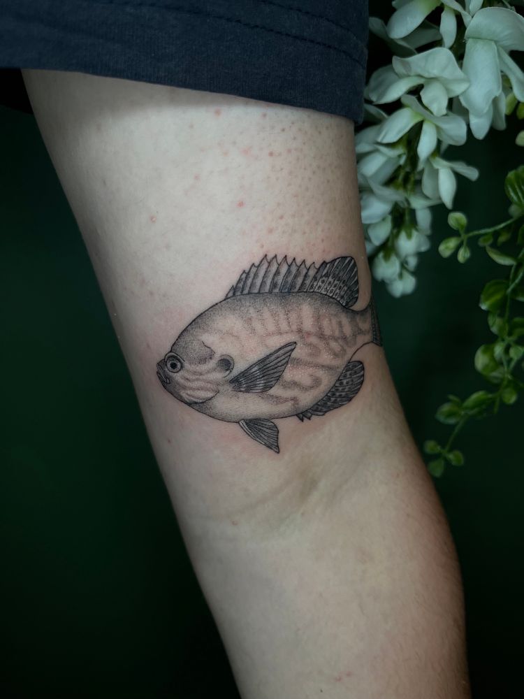 A semi-realistic, black and grey, stippled tattoo of a bluegill fish.
