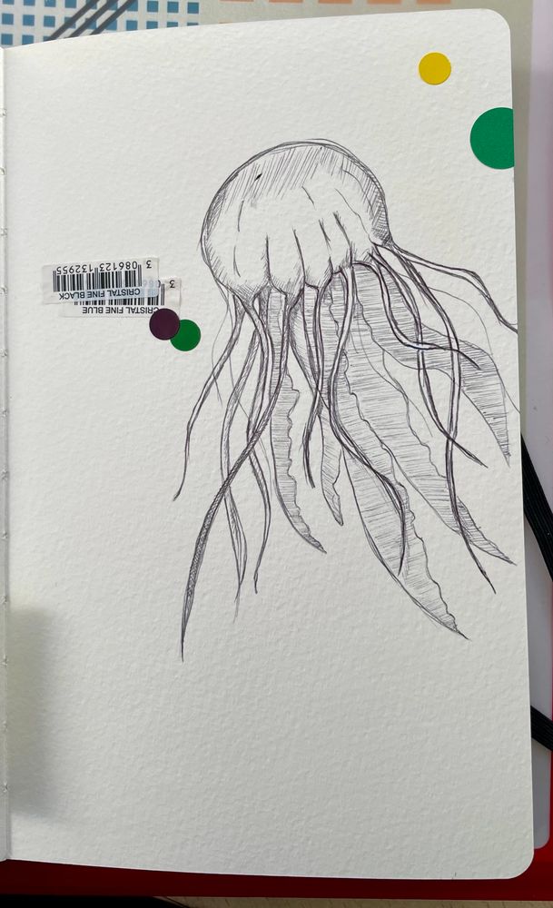 Dessin d’une méduse au stylo bille noir.
Et j’ai ajouté quelques gommettes et codes barres de stylo pour un effet « collage » que j’aime 
