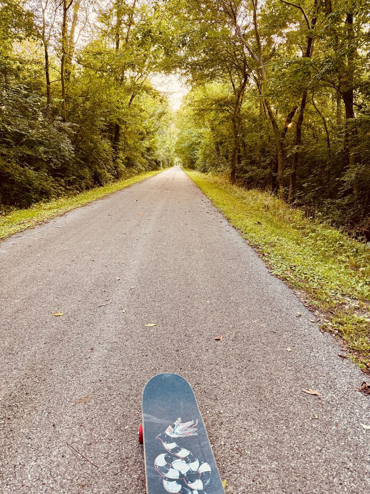 A photo of a skateboard on a paved path lined with greenery