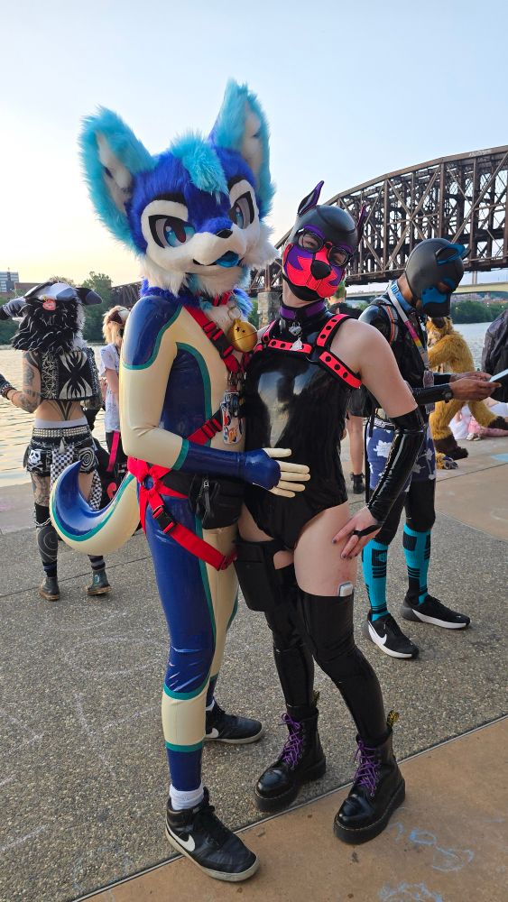 Dat, a blue dog in latex, and Haze, a purple and pink pup at the waterfront at Anthrocon