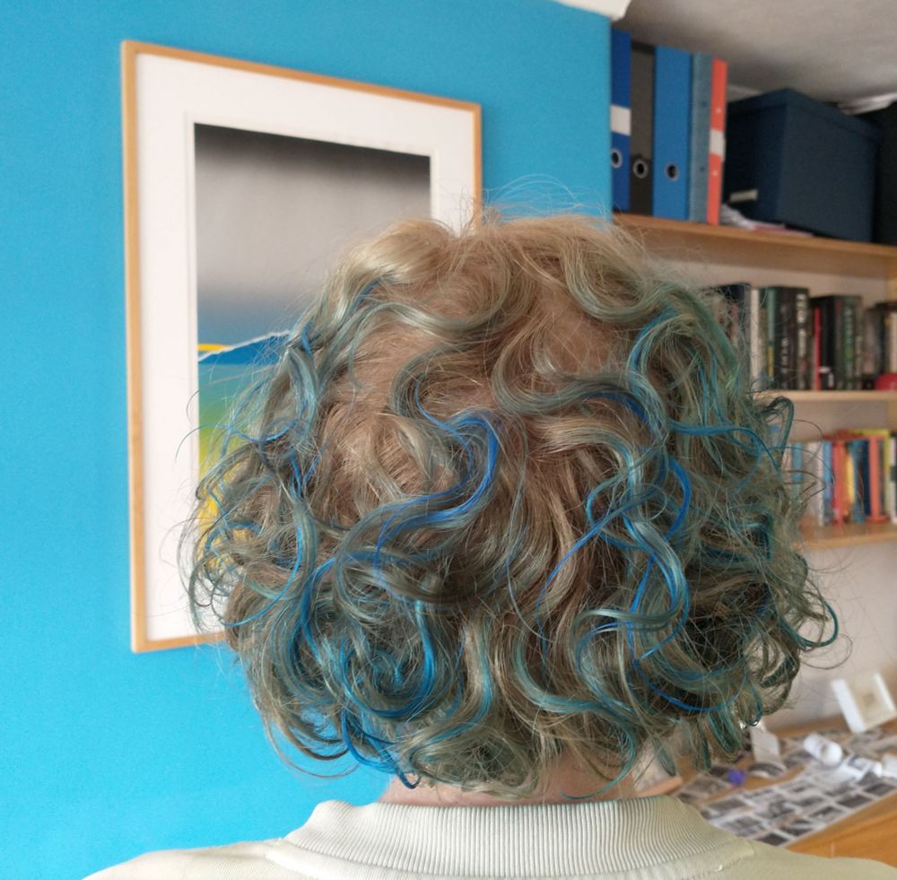 Rear view of a woman's head. She has collar length, wavy, ginger hair with streaks of blue. Behind her we see a turquoise wall and bookshelves.