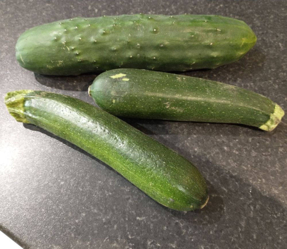 Two green courgettes and a knobbly green cucumber on a dark grey worktop.