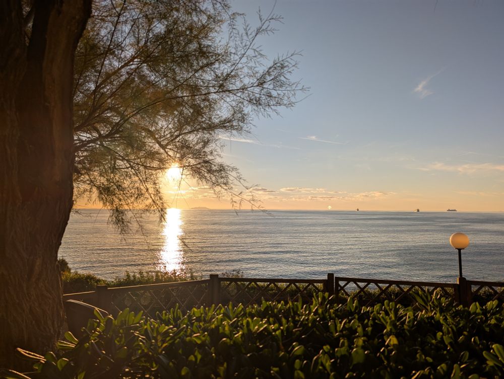Blick über das Meer mit schon tief stehender Sonne. Im Vordergrund links ein Baum und unten eine Hecke