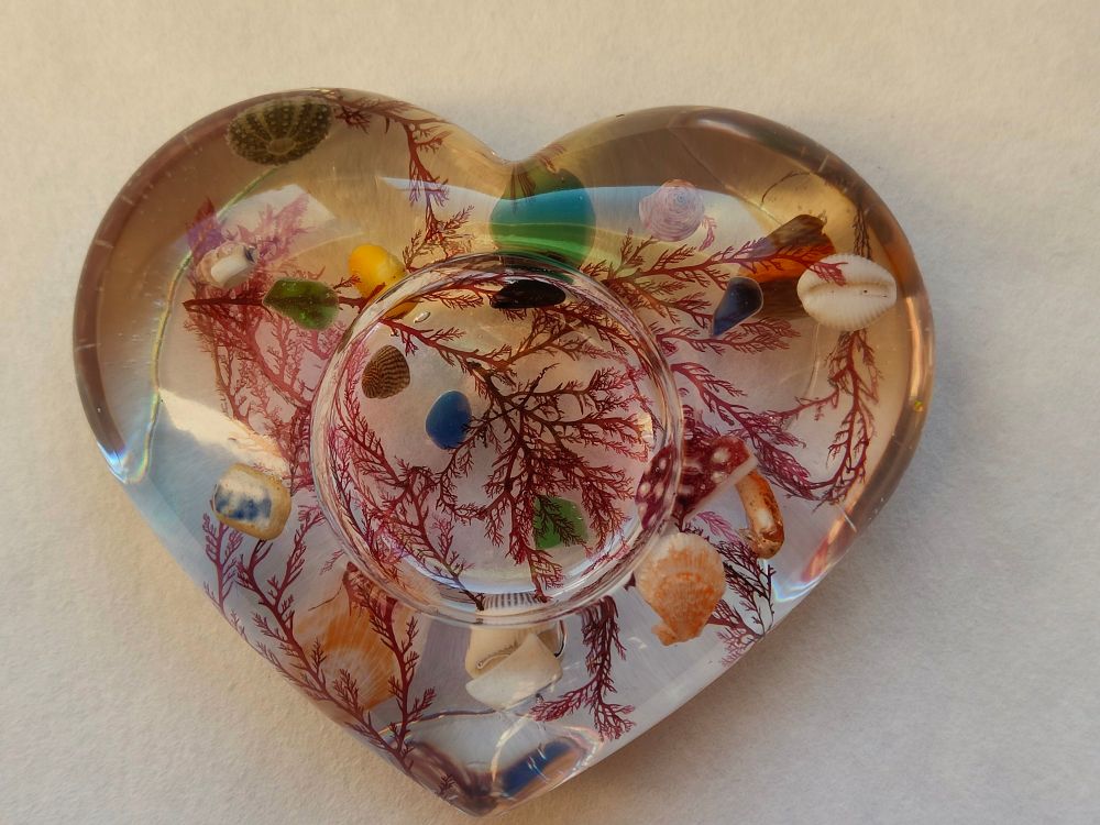 Resin heart with dried seaweed and shells 